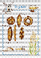 364=.gif