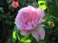 IMG_5999.jpg