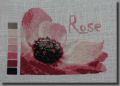 914rose.jpg